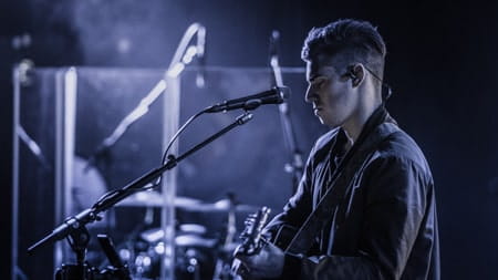 Tinnitus symptoms in musicians